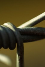 fence-main