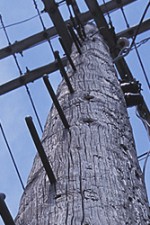 line-main line-main